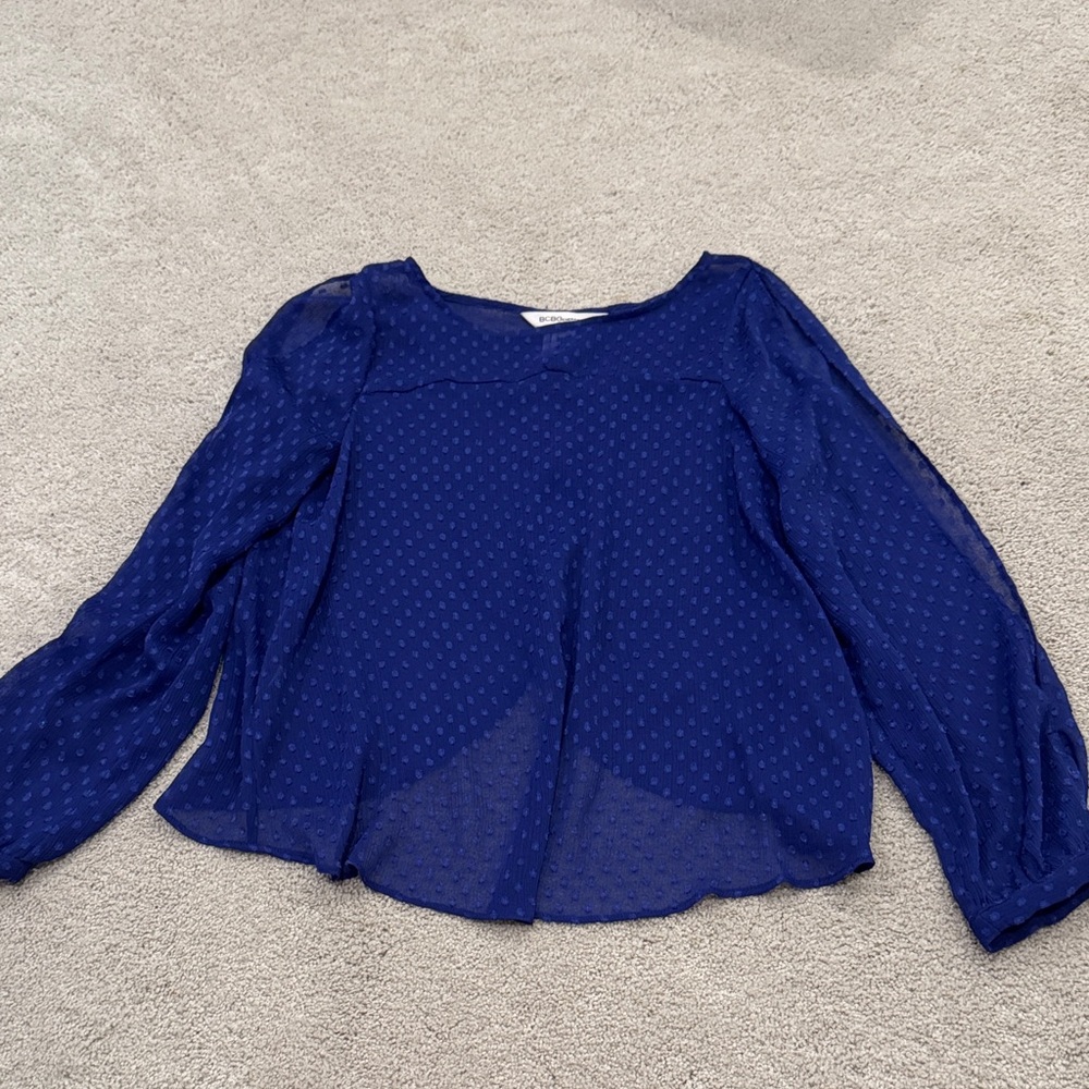 Sheer Swiss Dot Blue Women's Top